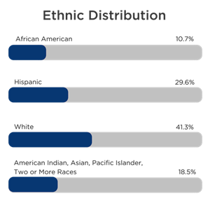 Ethnic Distribution 